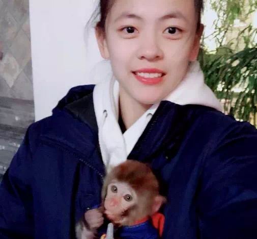 河南籃球女冠軍_籃球河南冠軍女子是誰(shuí)_籃球河南冠軍女排名單