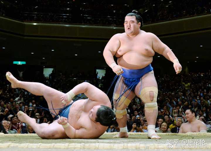 翻轉體育地域系列第三期：他能挽救日本相撲