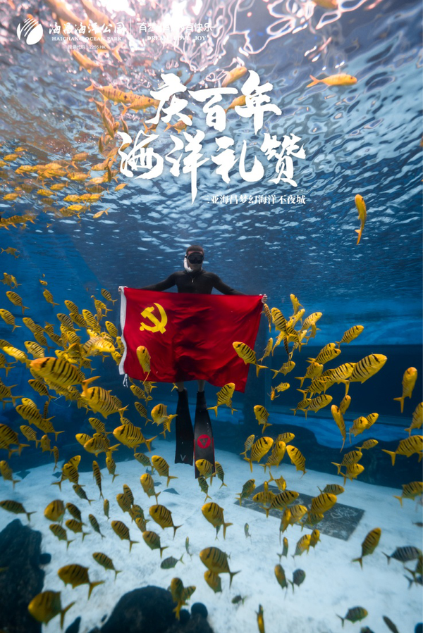 游泳自由泳冠軍_自由泳的冠軍_自由游泳隊冠軍有哪些國家