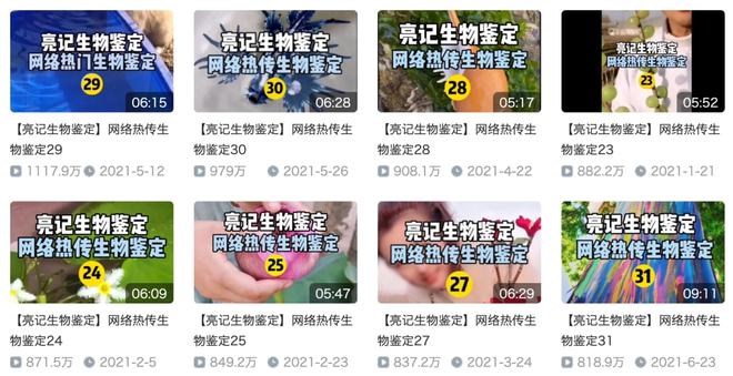 游泳視頻小孩教程視頻_小孩子能學(xué)的游泳技巧視頻_視頻游泳能技巧學(xué)孩子小學(xué)生嗎