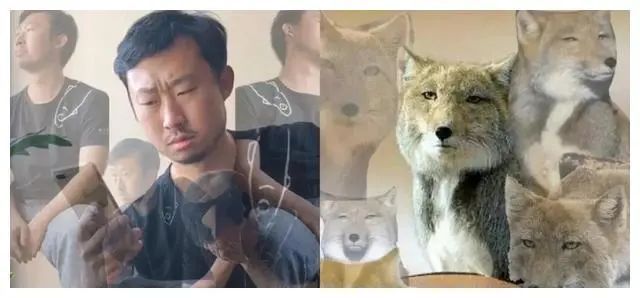 小孩子能學(xué)的游泳技巧視頻_游泳視頻小孩教程視頻_視頻游泳能技巧學(xué)孩子小學(xué)生嗎