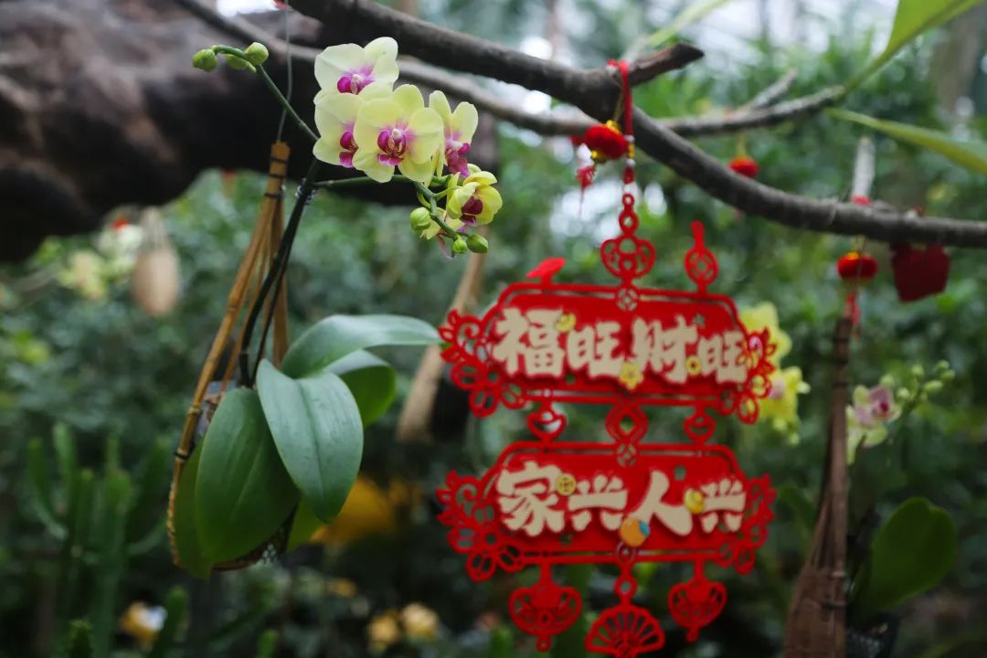 全民足球冠軍禮包_全民冠軍足球福利領(lǐng)取_全民冠軍足球大福袋
