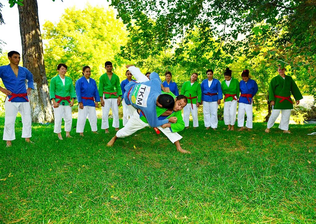 柔道和柔術(shù)的技巧_圖解柔術(shù)柔道新教程_柔術(shù)柔道