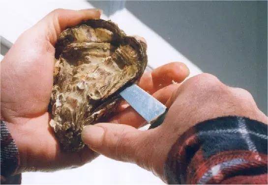 如何游潛泳_潛海季游泳技巧_游泳潛水技巧